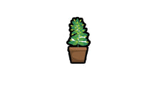 Load image into Gallery viewer, Flower plant outside Pot