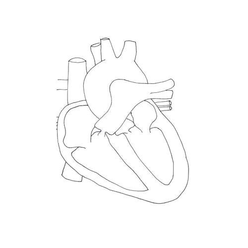 Inside the Heart