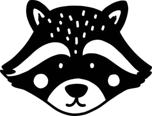 Trash Panda aka Raccoon